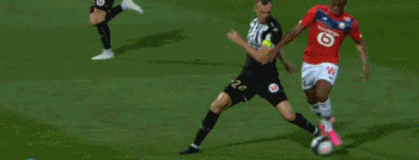 诺贝尔奖预测市场大额下注